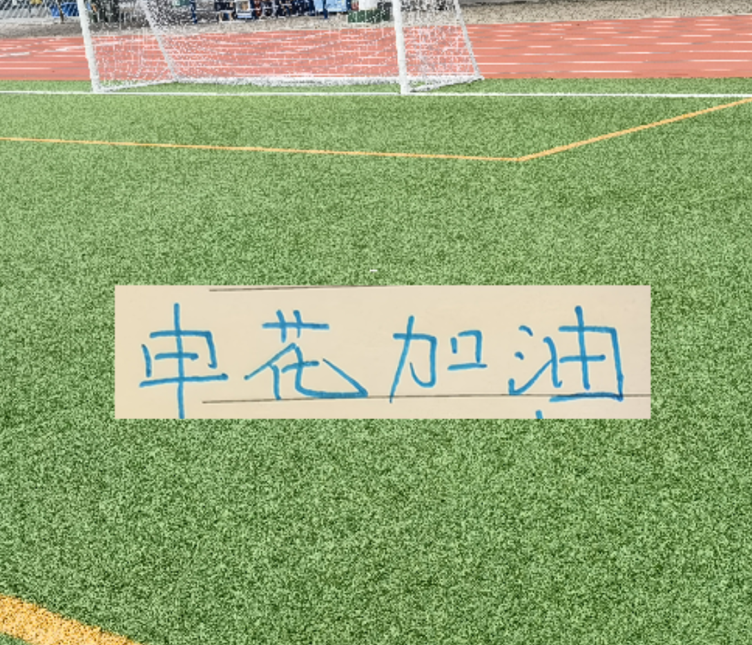 开云运营管理部-申花越连胜 球迷越喊 可惜！ 特别是重庆被阻击后 无人拦领头羊
